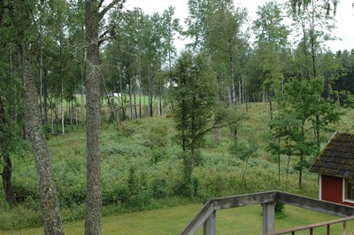 dsc_4977-copy_184505274.jpg