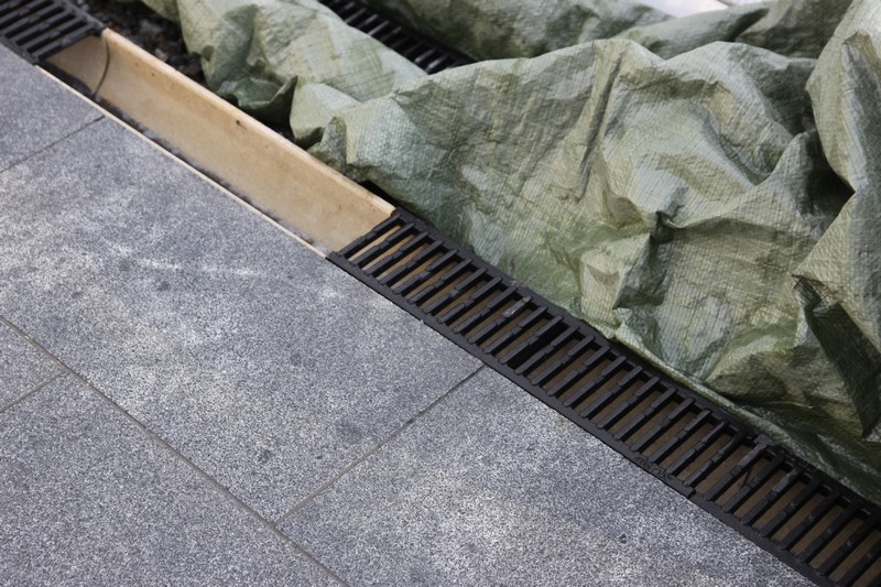 IMG_3122.jpg IMG_3122.jpg