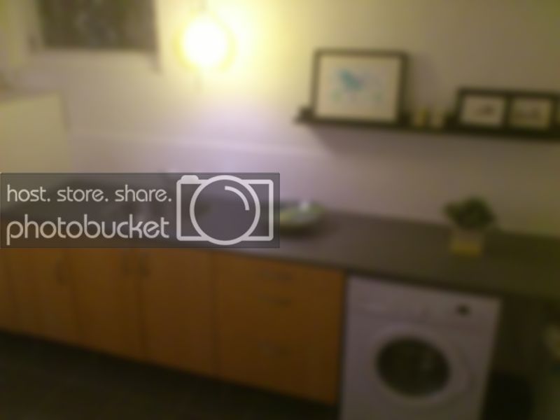 DSC_0705.jpg DSC_0705.jpg