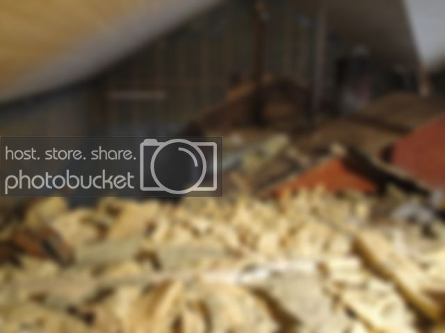 DSC00256.jpg DSC00256.jpg