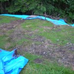 P1100367-150x150.jpg P1100367-150x150.jpg