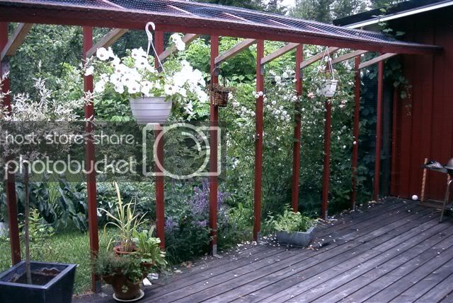 PICT0263.jpg