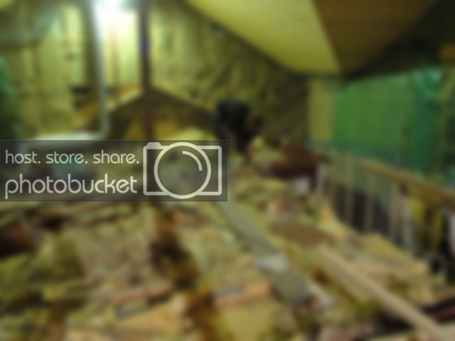 DSC00304.jpg DSC00304.jpg