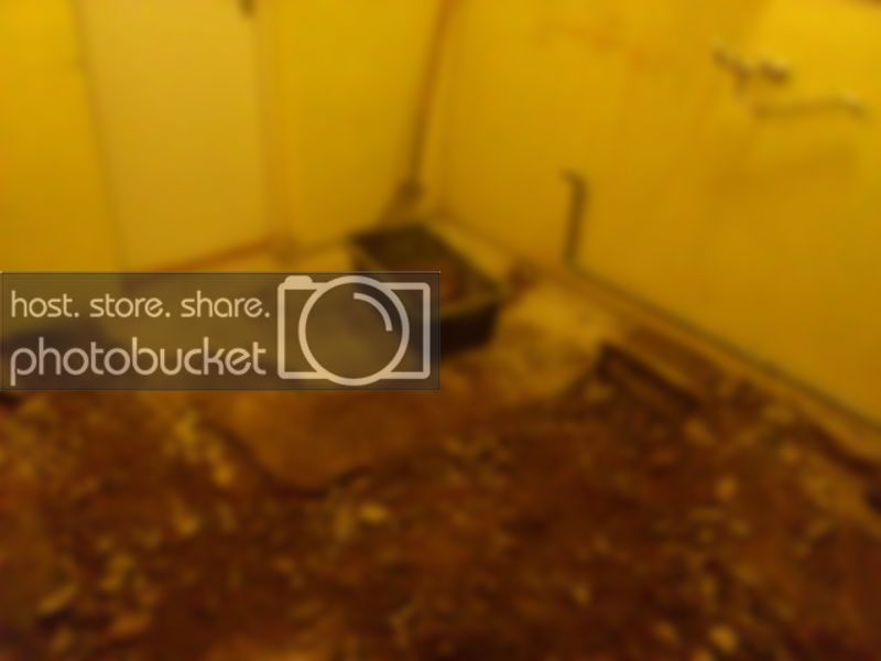 DSC_0613.jpg DSC_0613.jpg