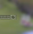 pinnar.jpg pinnar.jpg
