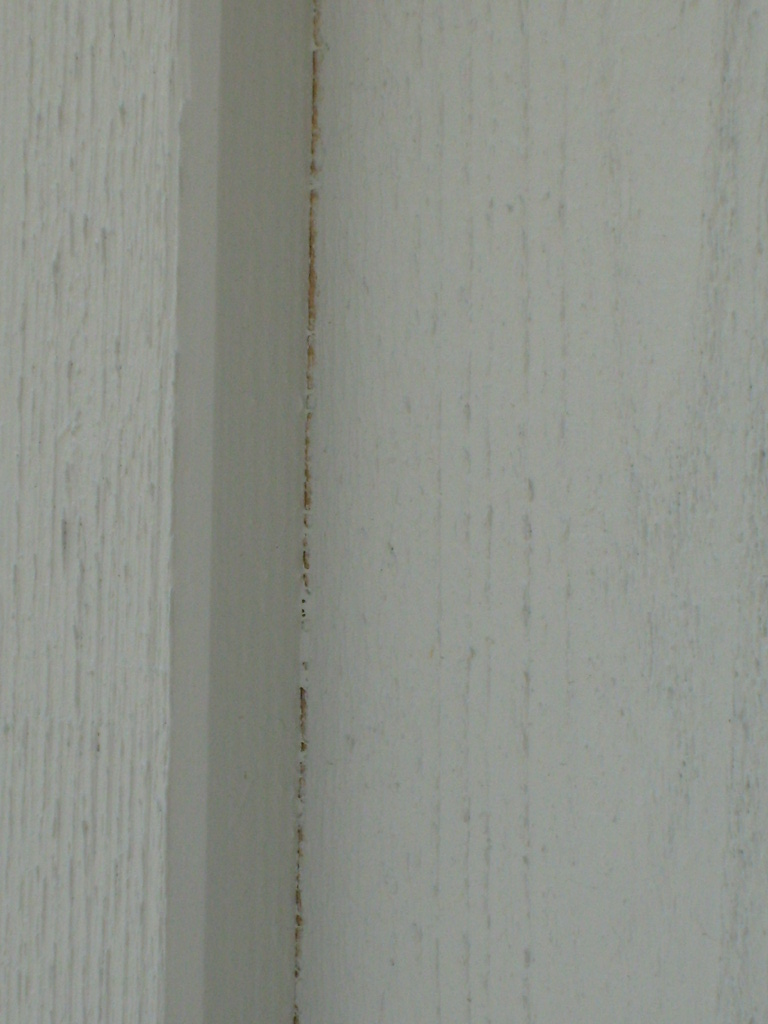 S6302780.JPG S6302780.JPG