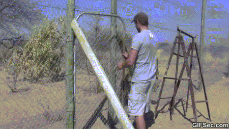 GIF-Happy-lion.gif GIF-Happy-lion.gif