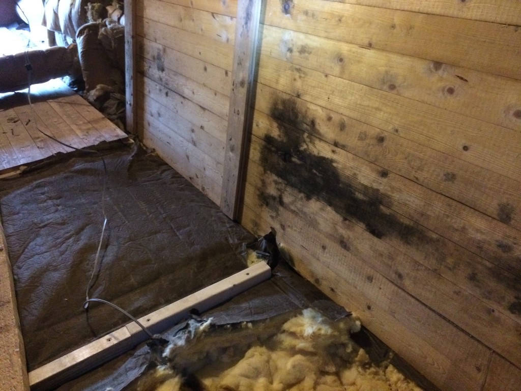 p0chAk3.jpg p0chAk3.jpg