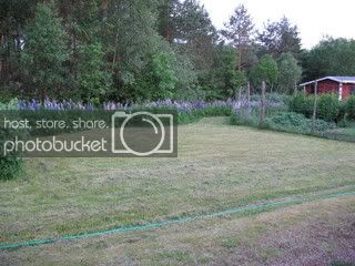IMG_0147.jpg IMG_0147.jpg