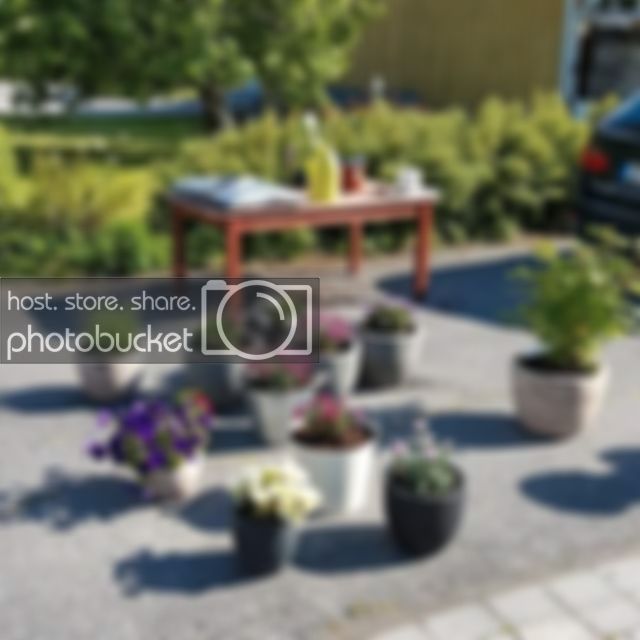 FB_IMG_1435517950127_zpsma8ktzbj.jpg FB_IMG_1435517950127_zpsma8ktzbj.jpg