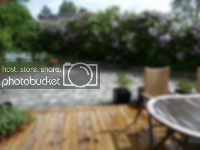ResizeofP1000855.jpg ResizeofP1000855.jpg