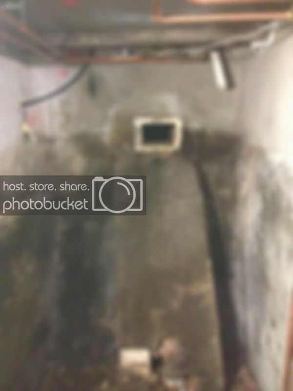 551874_10151210410651241_1065812773_n.jpg 551874_10151210410651241_1065812773_n.jpg