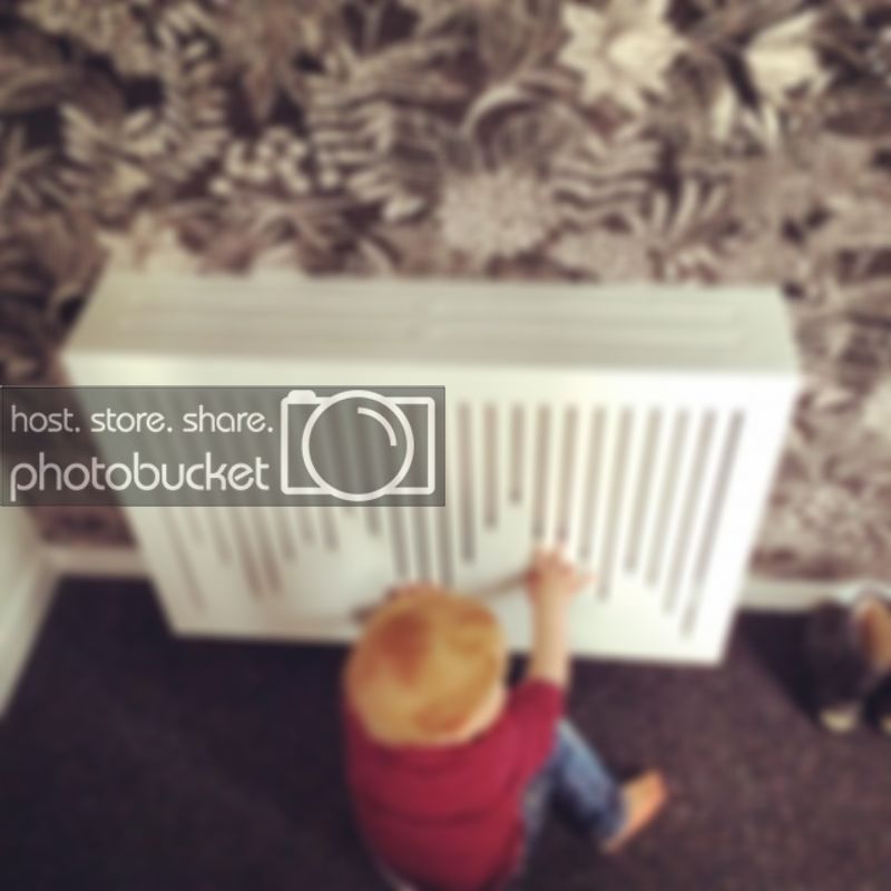 IMG_0400.jpg IMG_0400.jpg