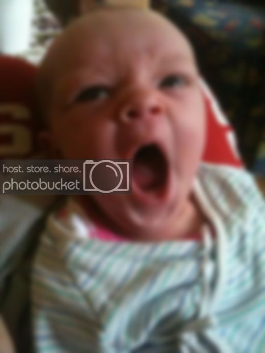 299384_10150403017356241_532611240_10647999_302191734_n.jpg 299384_10150403017356241_532611240_10647999_302191734_n.jpg