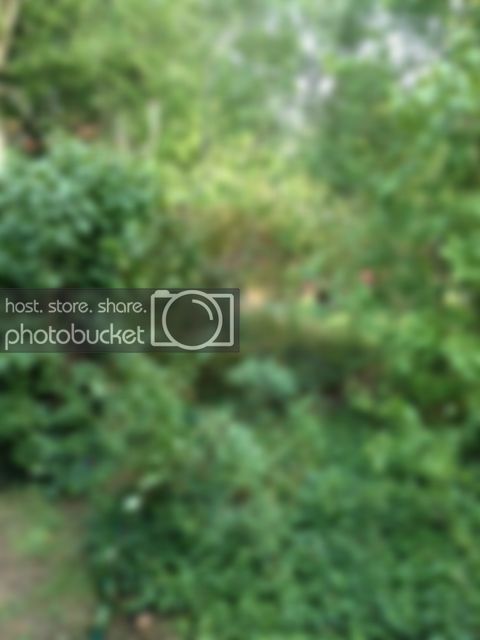 bild_zpsbd069788.jpg bild_zpsbd069788.jpg