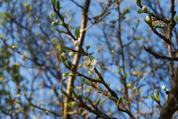 DSC_0092.JPG DSC_0092.JPG