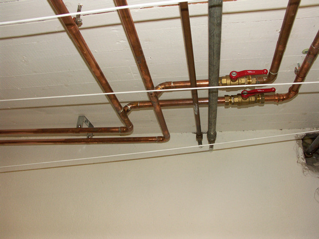 PICT3294.jpg PICT3294.jpg