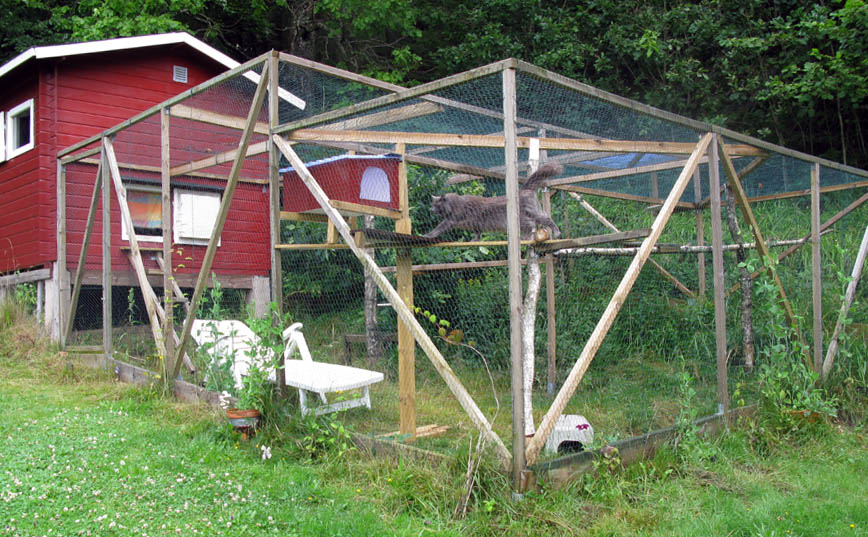 Kattpensionat.jpg Kattpensionat.jpg