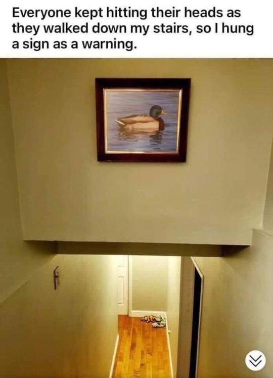 986f697fb637f978b02befedbcda9e417c6ed095.jpg 986f697fb637f978b02befedbcda9e417c6ed095.jpg