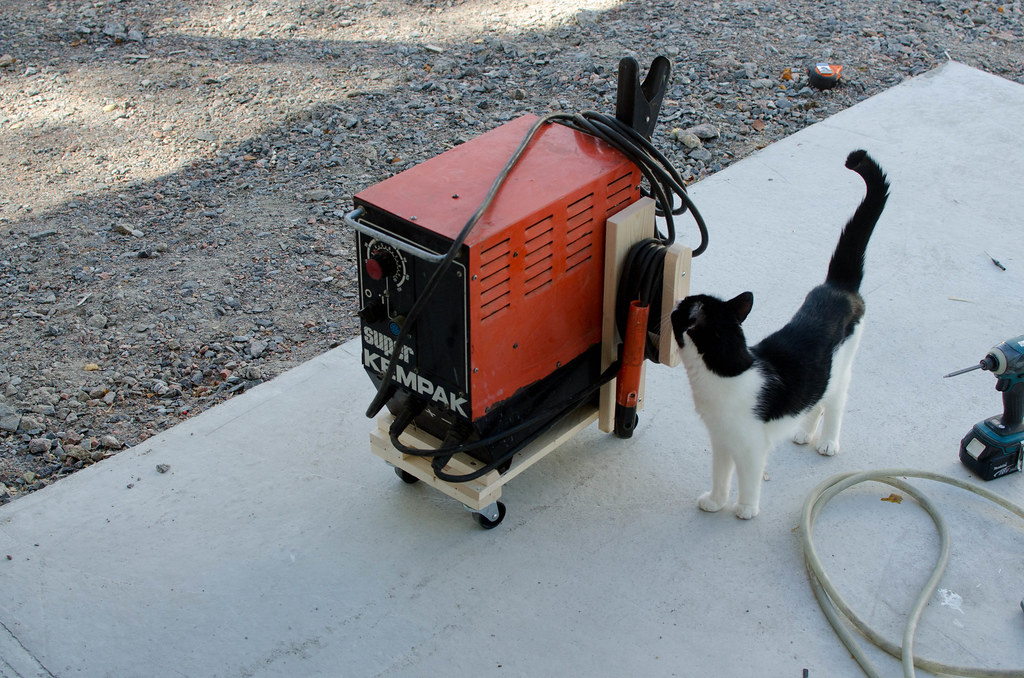 20631408950_1263d87d21_b.jpg 20631408950_1263d87d21_b.jpg