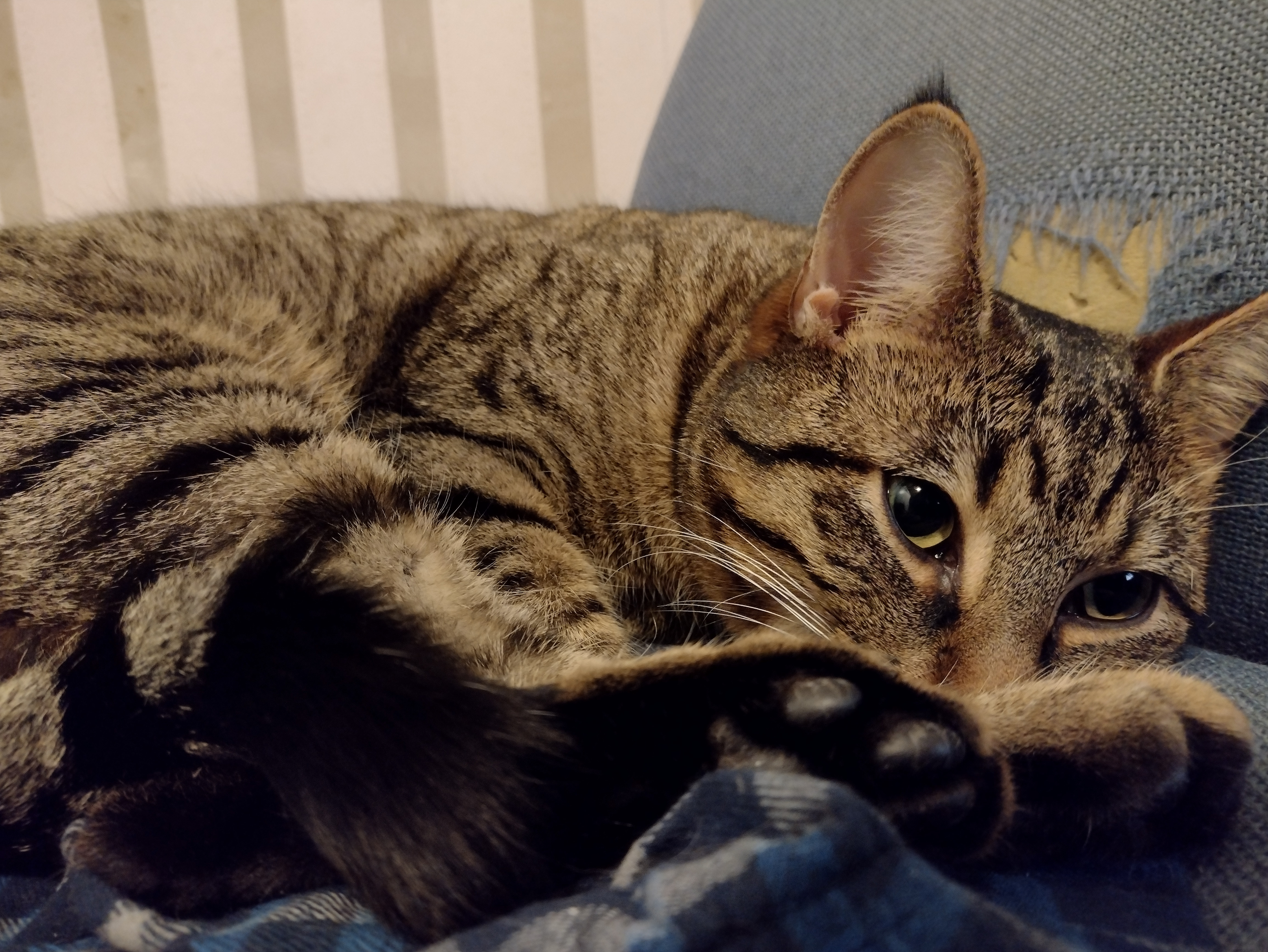 L82v6Vb.jpg L82v6Vb.jpg