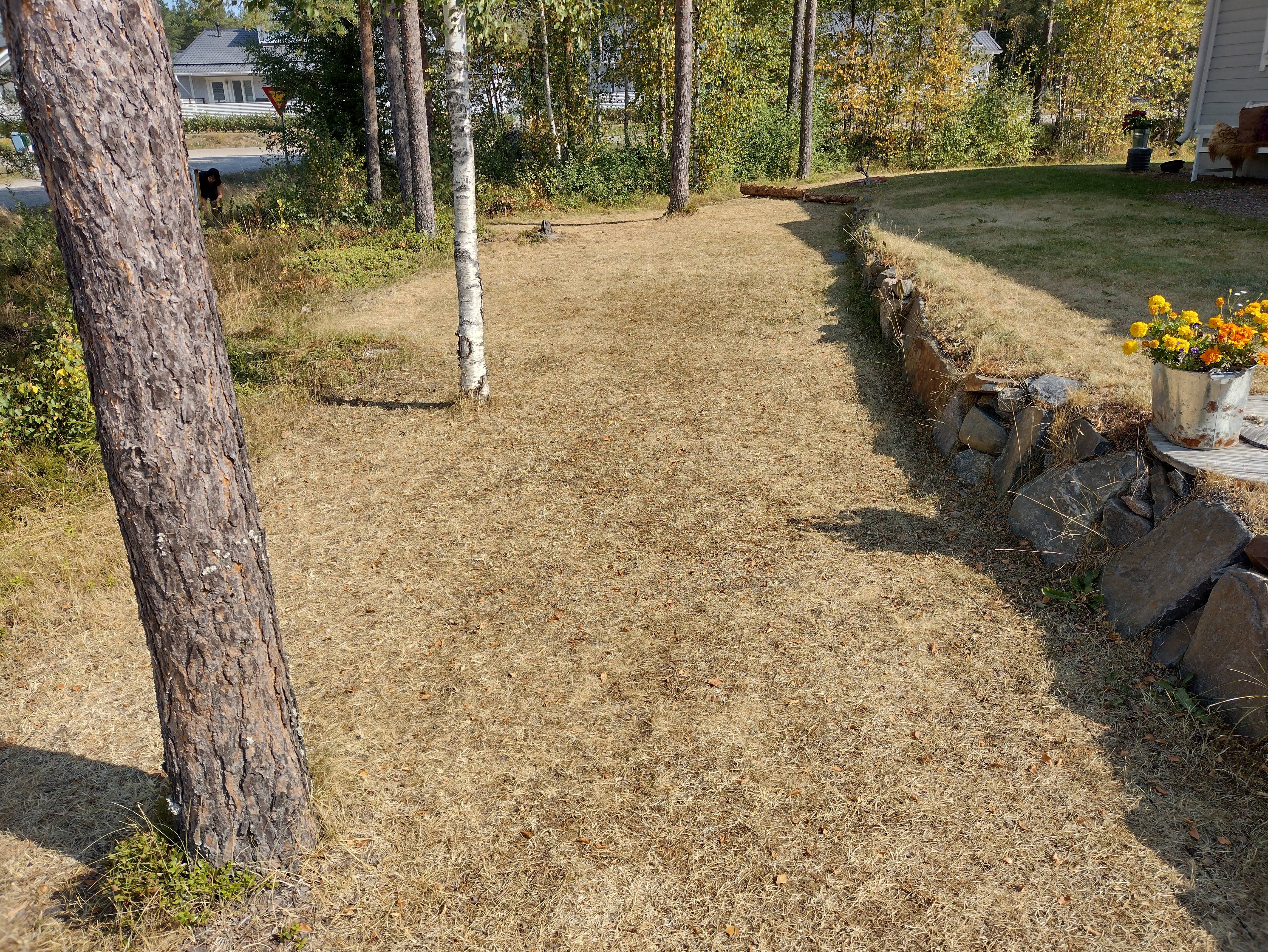 TqKTxWC.jpg TqKTxWC.jpg