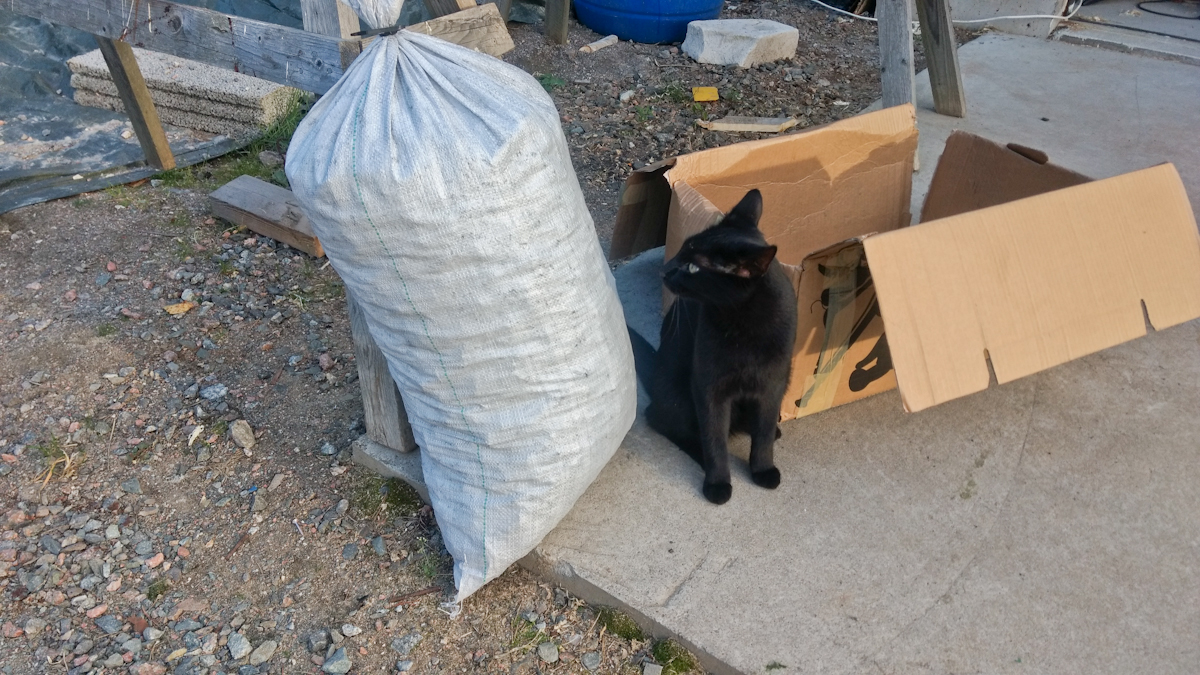 XFy4Ila.jpg XFy4Ila.jpg