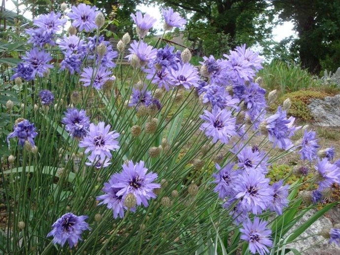 c90f38b5b1e628b4358b2654268babd2.jpg c90f38b5b1e628b4358b2654268babd2.jpg