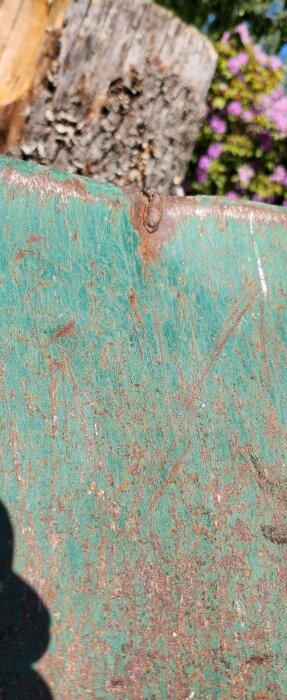 689181-20a0db6b9bec444a5fb8eff584243f07.jpg 689181-20a0db6b9bec444a5fb8eff584243f07.jpg