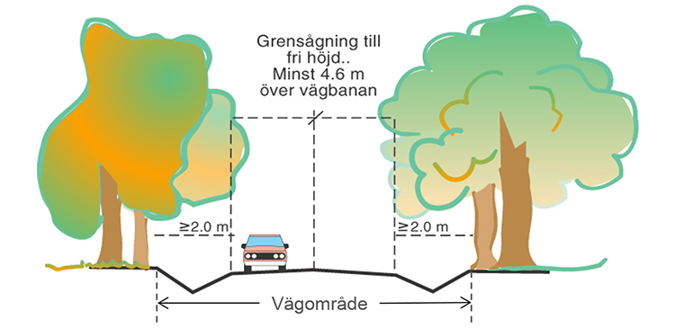 illustration_vagomrade_750x365.jpg illustration_vagomrade_750x365.jpg