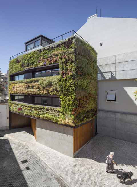 grön fasad