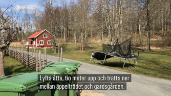 Studsmatta fastnade i träd efter tromb