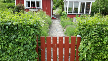 Odla på koloni- eller odlingslott