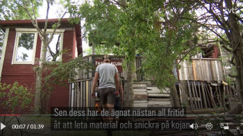 "Störig" koja måste rivas - sju meter hög