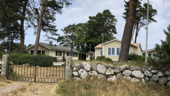 Värdet av ett fullvuxet träd - vad kostar ett träd?