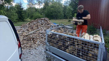 Se upp för vedtjuvar