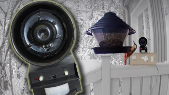 Dyr fågelskrämma skrämmer inga fåglar