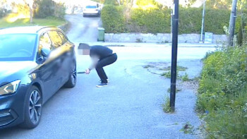 Känd artist döms efter grannbråk
