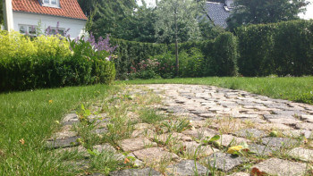 Test: 9 metoder för att rensa ogräs mellan plattor