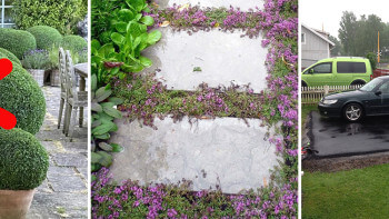 12 tips för att spara tid i trädgården 