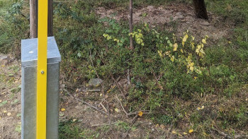 Myndighet slår fast att Vattenfall tagit ut för stor avgift av husägare