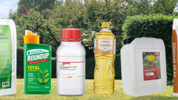 Medel mot ogräs och mossa - förbjuda och tillåtna