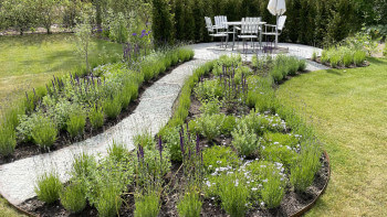 Så får du en trädgård du slipper vattna