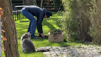 Så fattar du bättre beslut om hus och trädgård