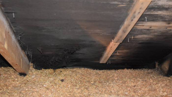 ARN: Mögel efter nybytt tak