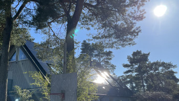 Krav: Solceller på alla nya byggnader inom EU