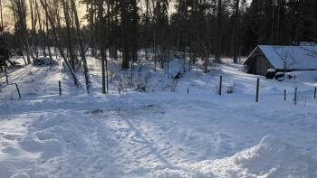 Vem ansvarar för snöröjningen utanför din tomt?