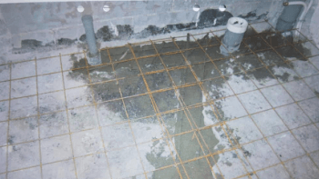 Plånboken i P1 följer upp fallet med Bauhaus badrumsrenovering