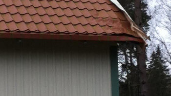 Träd på oväntat besök i taket