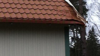 Fortsättningen på trädbesöket